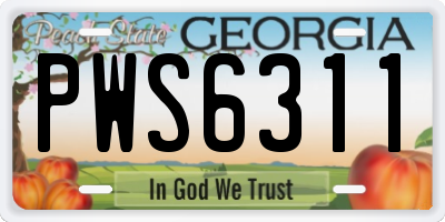 GA license plate PWS6311
