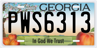 GA license plate PWS6313