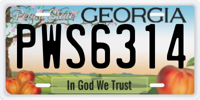 GA license plate PWS6314