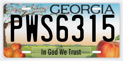 GA license plate PWS6315