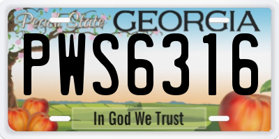 GA license plate PWS6316