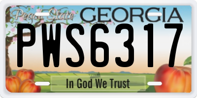 GA license plate PWS6317
