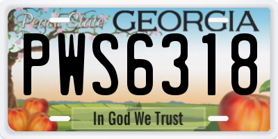 GA license plate PWS6318