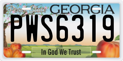 GA license plate PWS6319