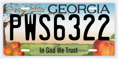 GA license plate PWS6322