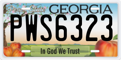 GA license plate PWS6323