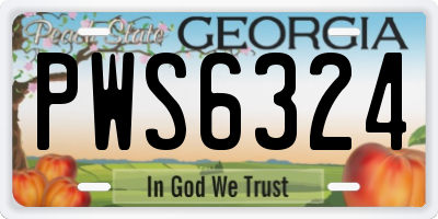 GA license plate PWS6324