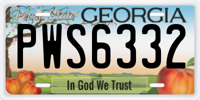 GA license plate PWS6332