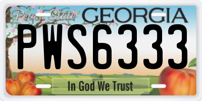 GA license plate PWS6333