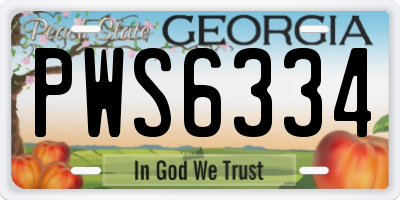 GA license plate PWS6334