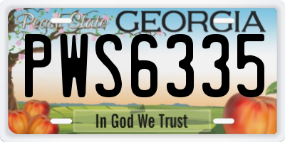 GA license plate PWS6335