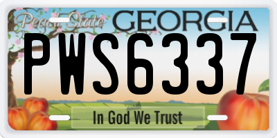 GA license plate PWS6337
