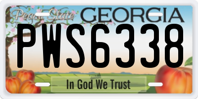 GA license plate PWS6338