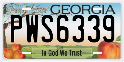 GA license plate PWS6339