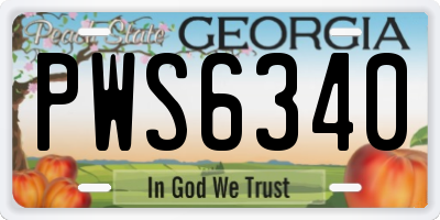 GA license plate PWS6340