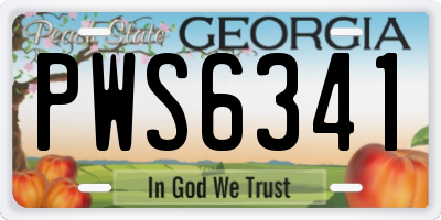 GA license plate PWS6341