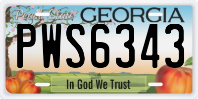 GA license plate PWS6343
