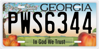 GA license plate PWS6344
