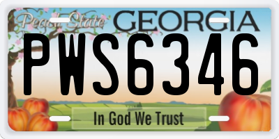 GA license plate PWS6346