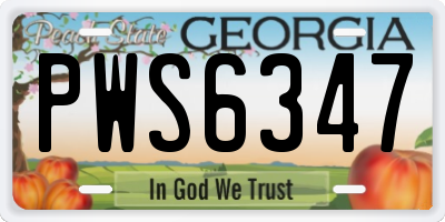 GA license plate PWS6347