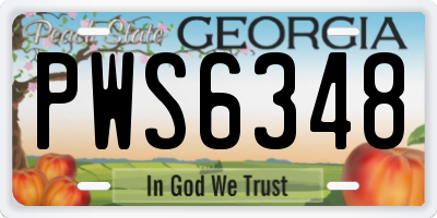 GA license plate PWS6348