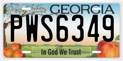 GA license plate PWS6349