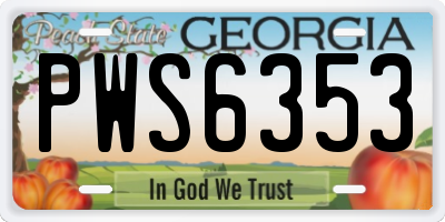 GA license plate PWS6353