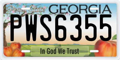 GA license plate PWS6355