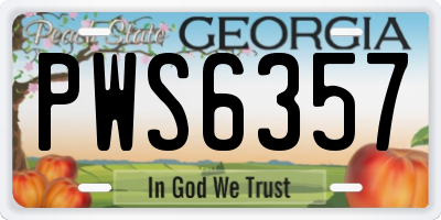 GA license plate PWS6357