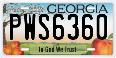 GA license plate PWS6360