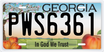 GA license plate PWS6361