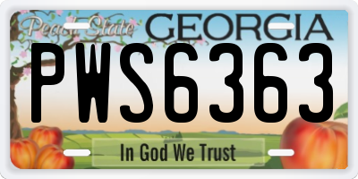 GA license plate PWS6363