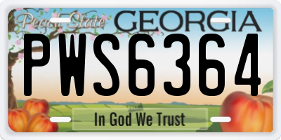 GA license plate PWS6364