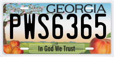 GA license plate PWS6365