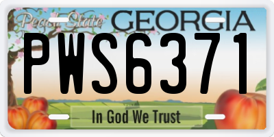 GA license plate PWS6371