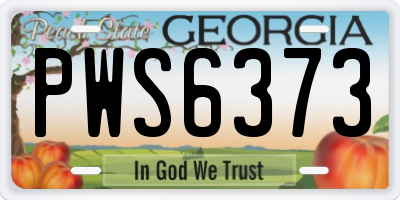 GA license plate PWS6373