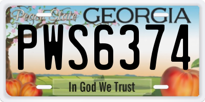 GA license plate PWS6374