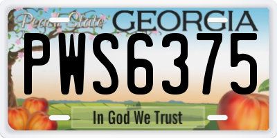 GA license plate PWS6375