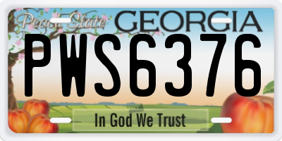 GA license plate PWS6376