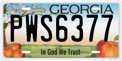 GA license plate PWS6377