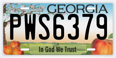 GA license plate PWS6379