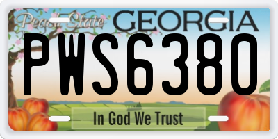 GA license plate PWS6380