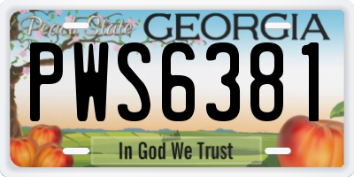 GA license plate PWS6381