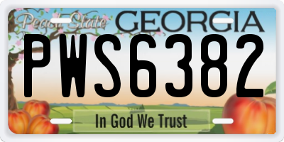 GA license plate PWS6382