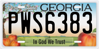 GA license plate PWS6383
