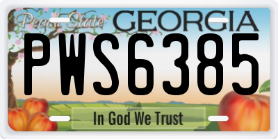 GA license plate PWS6385