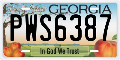 GA license plate PWS6387
