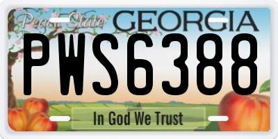 GA license plate PWS6388