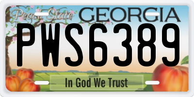 GA license plate PWS6389
