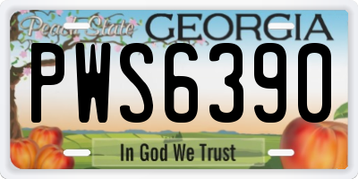 GA license plate PWS6390